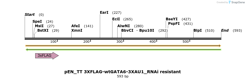 138767_map