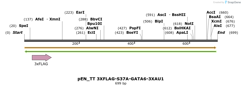 138775_map
