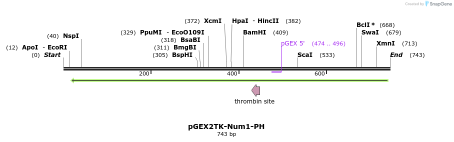138790_map