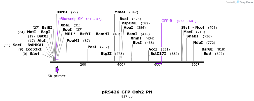 138802_map