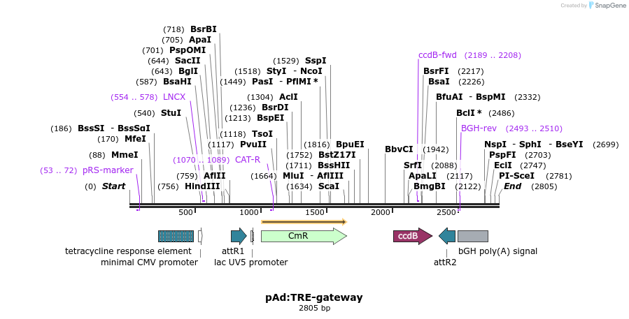 13881_map