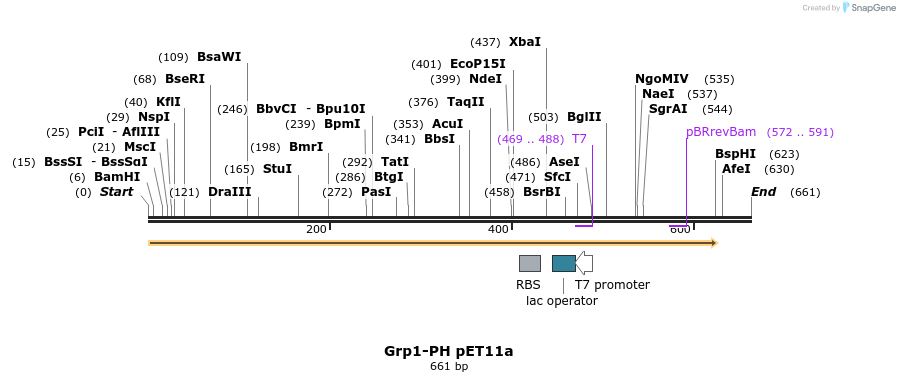138815_map