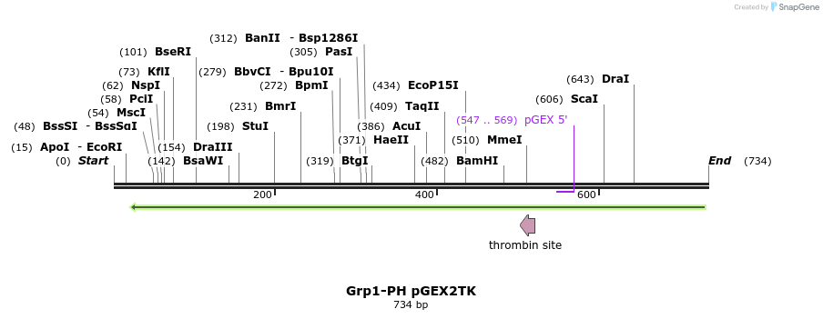 138817_map