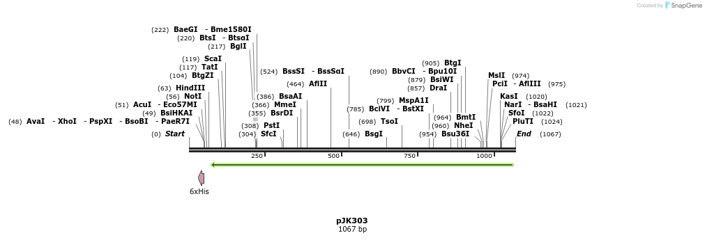138821_map