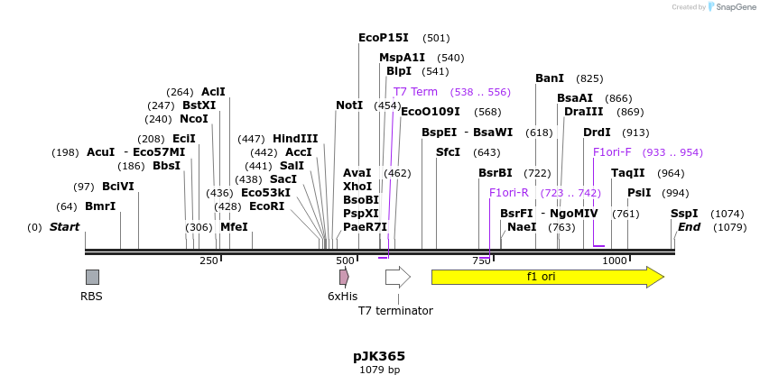 138831_map