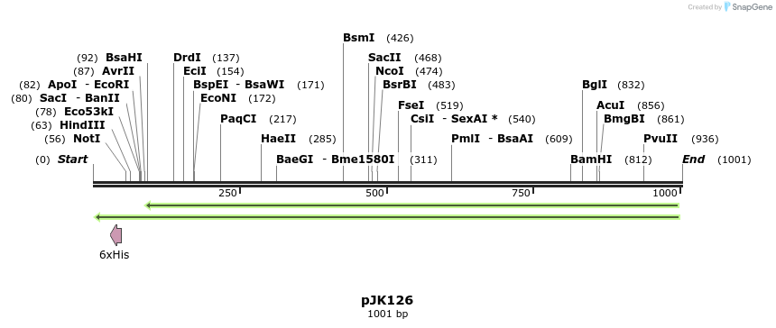 138841_map
