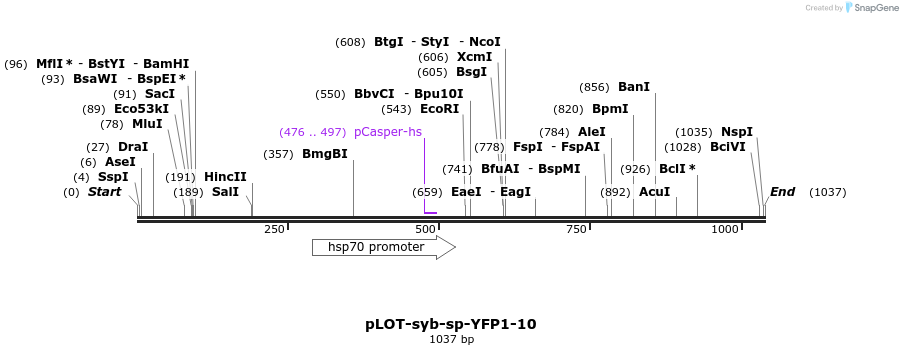 138842_map