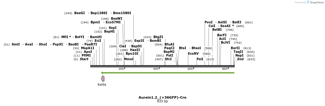 138845_map