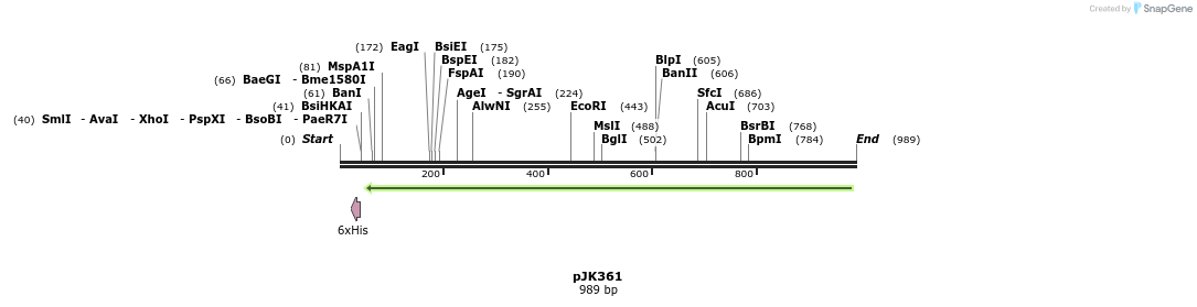 138847_map