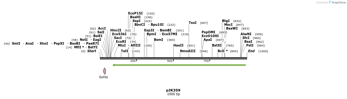 138853_map