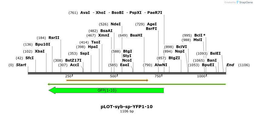 138854_map