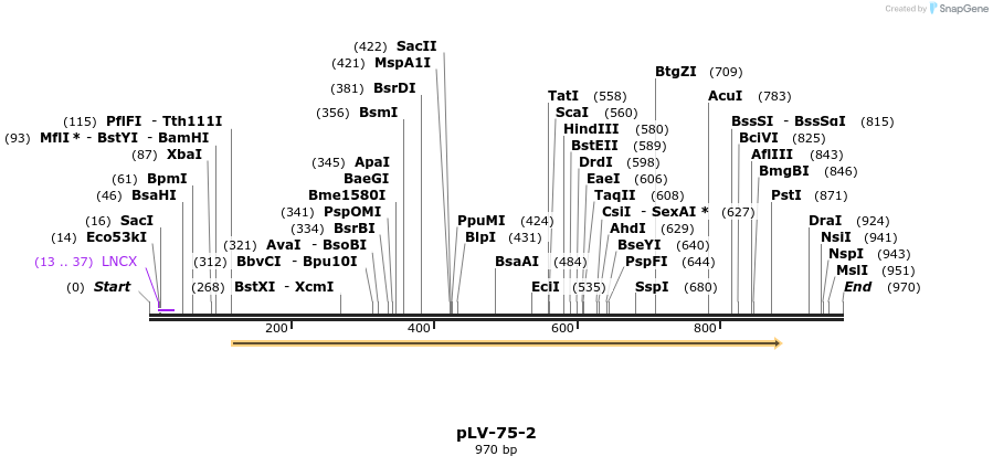 138864_map