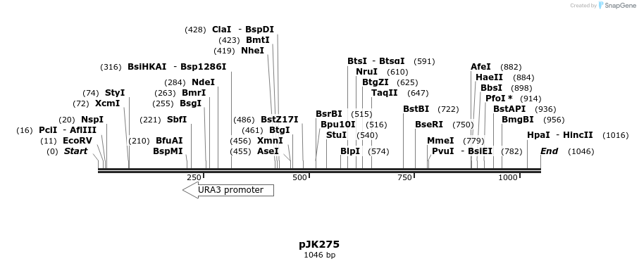 138868_map