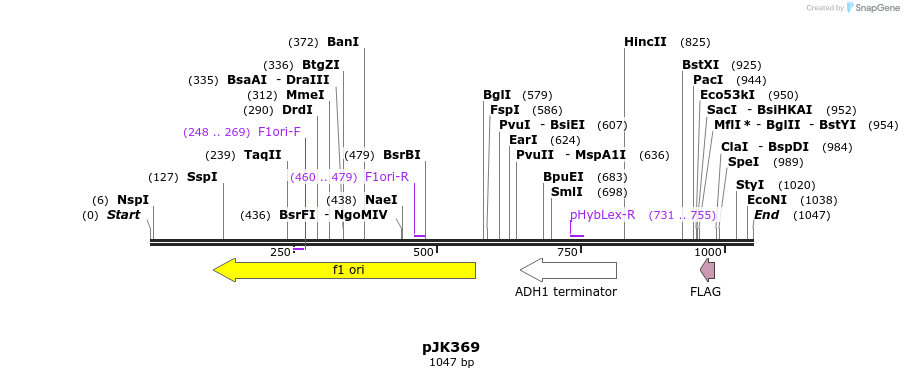 138881_map