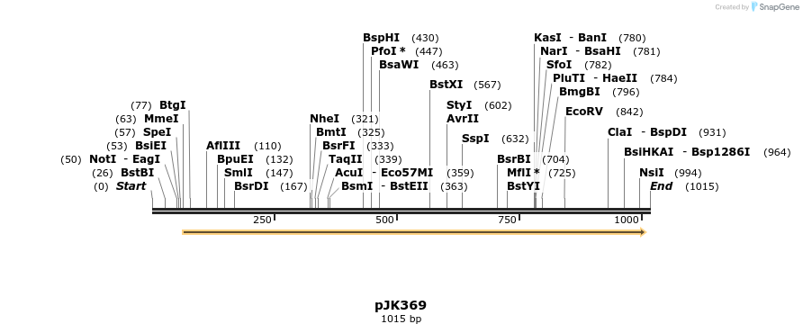 138882_map