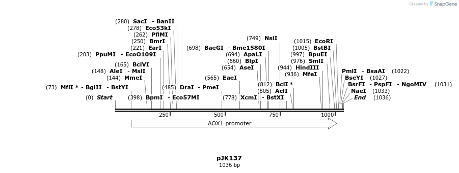 138884_map