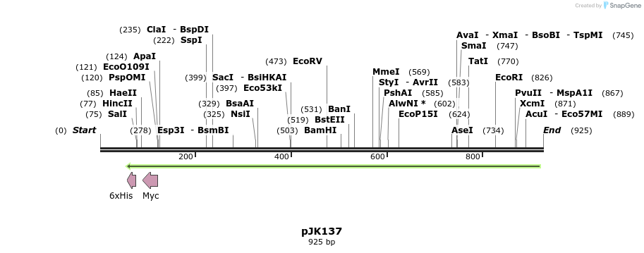 138885_map