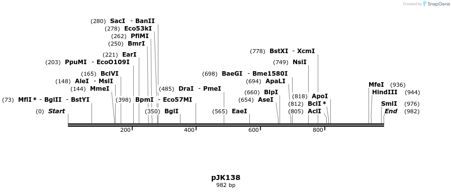 138891_map