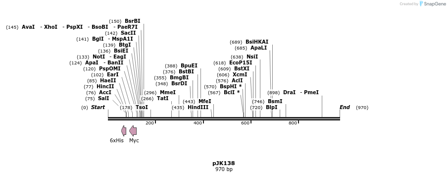 138892_map