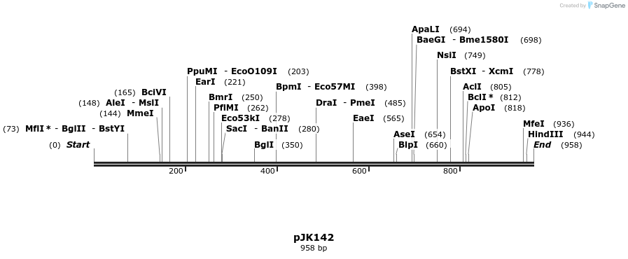 138894_map