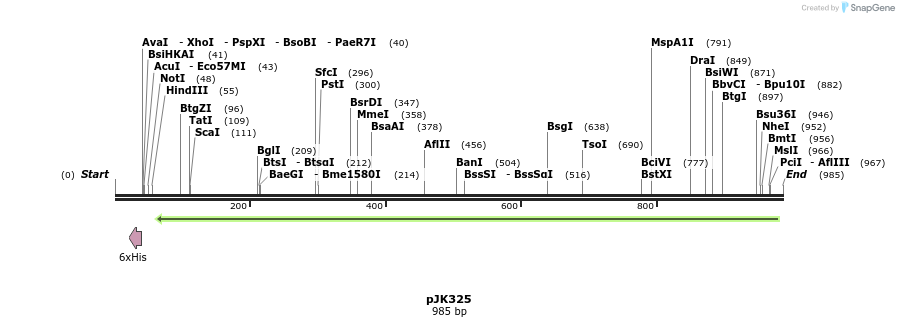 138898_map