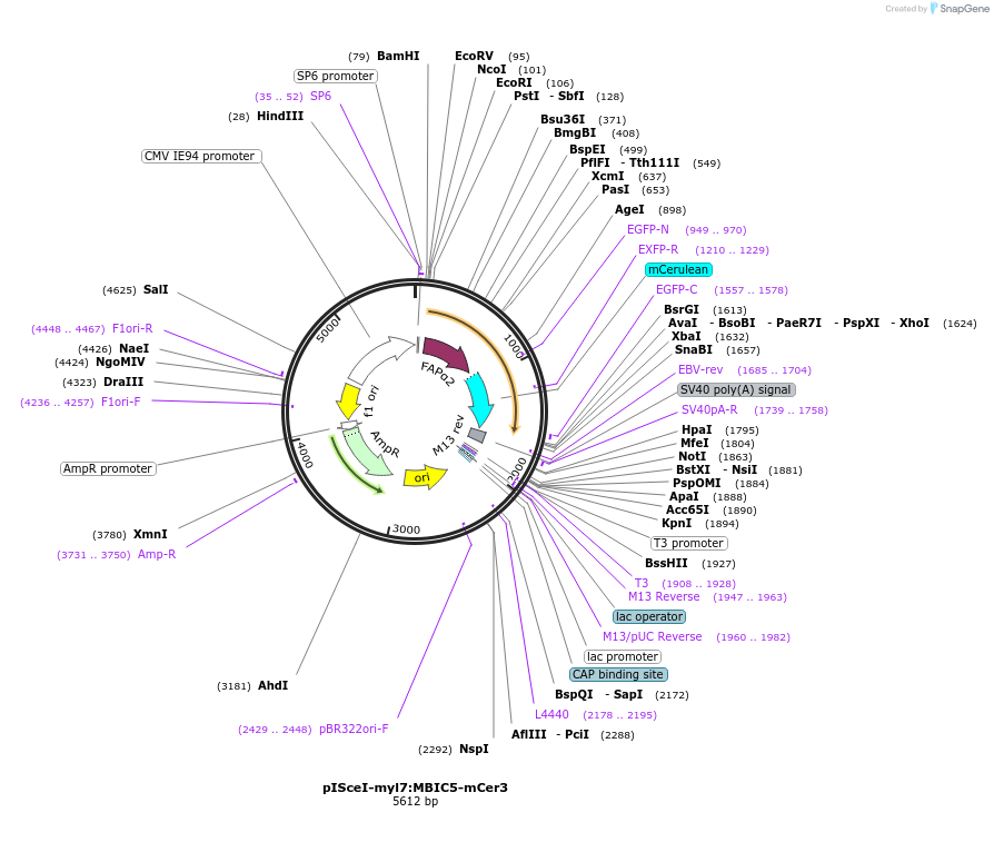 138902_map