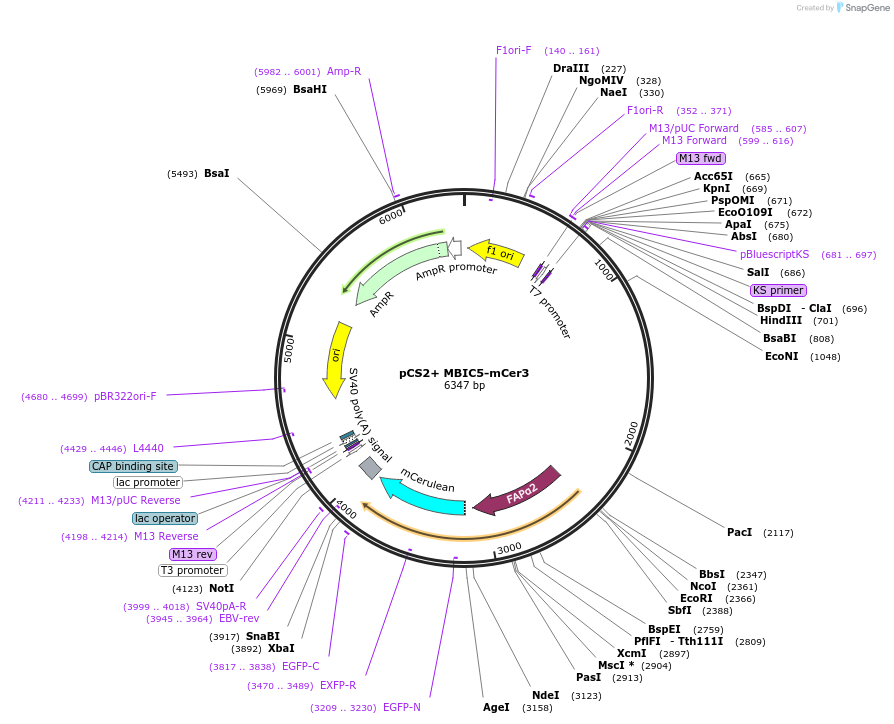 138903_map