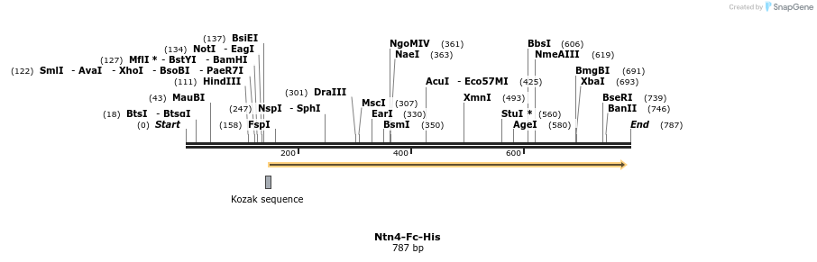 138917_map