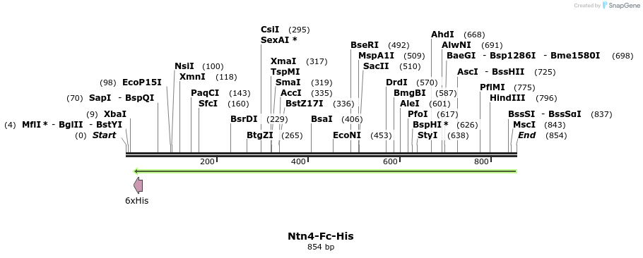 138918_map