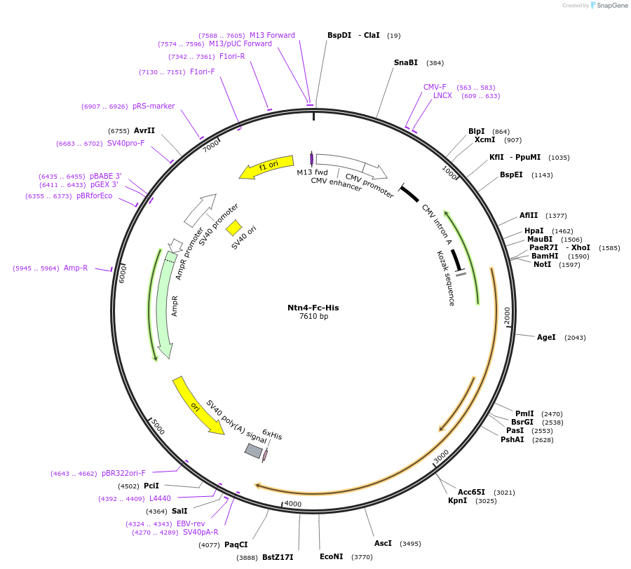 138919_map