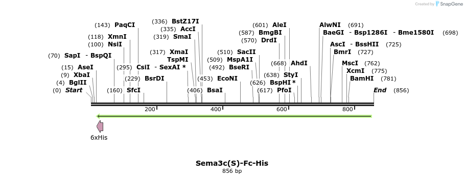 138924_map