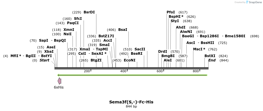 138930_map