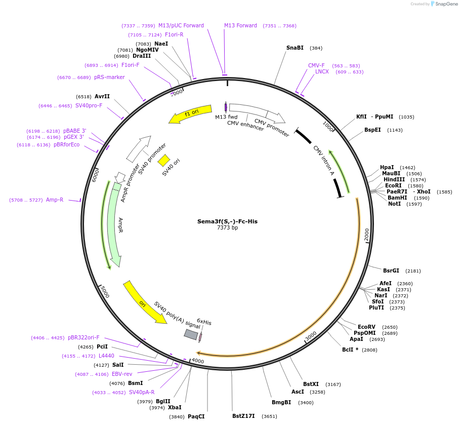 138931_map