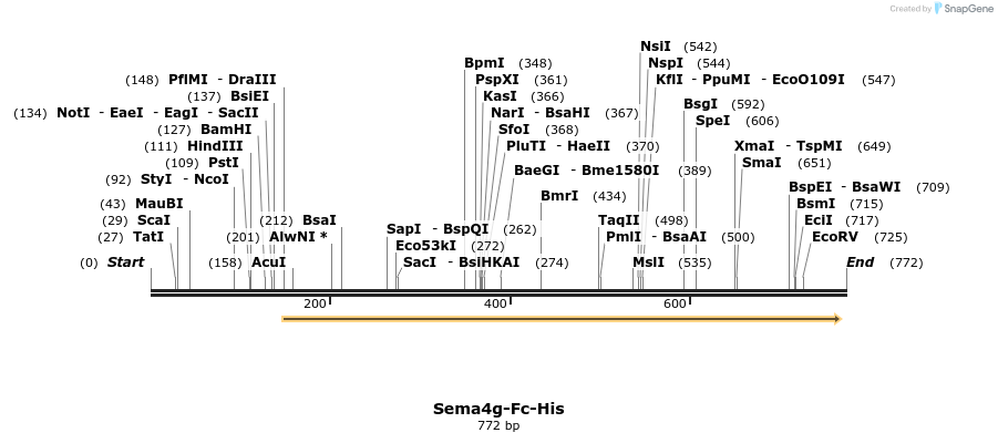 138932_map