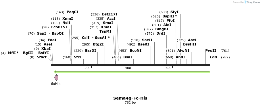 138933_map