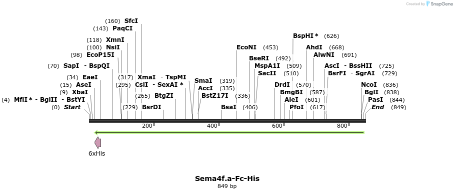 138936_map