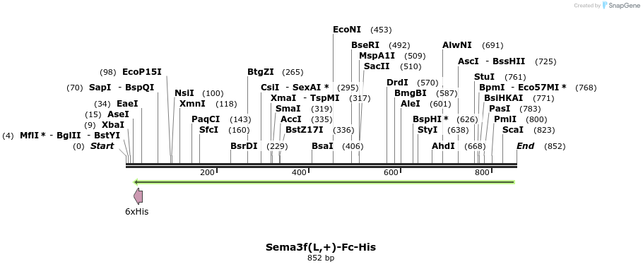 138939_map