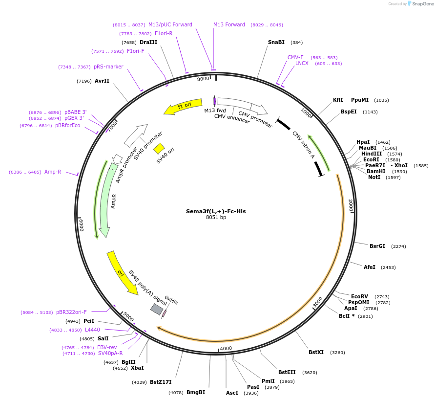 138940_map