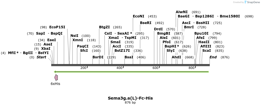138942_map