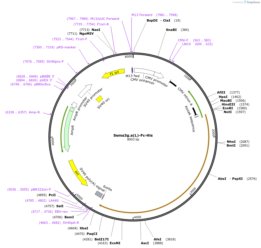 138943_map