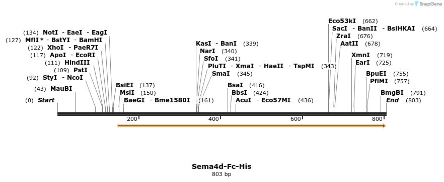138944_map