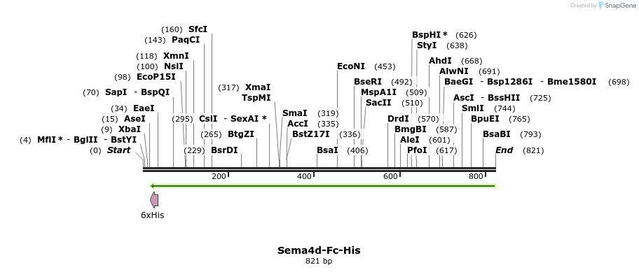 138946_map