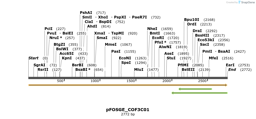 138949_map