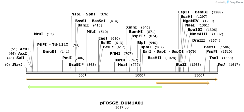 138952_map