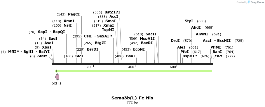 138955_map