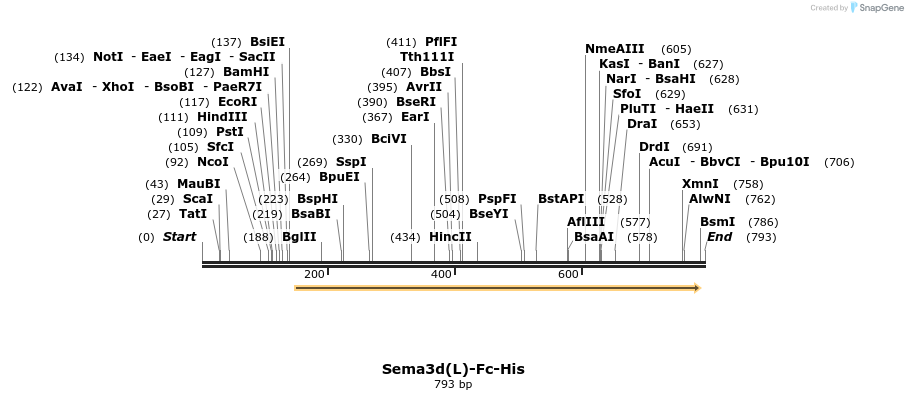 138960_map