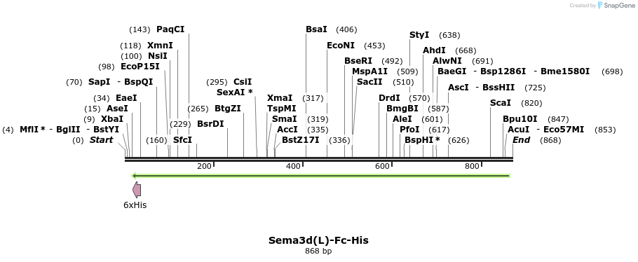 138961_map
