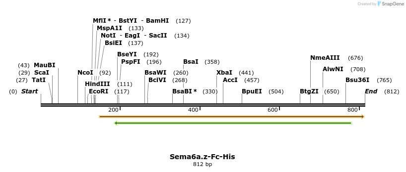 138963_map