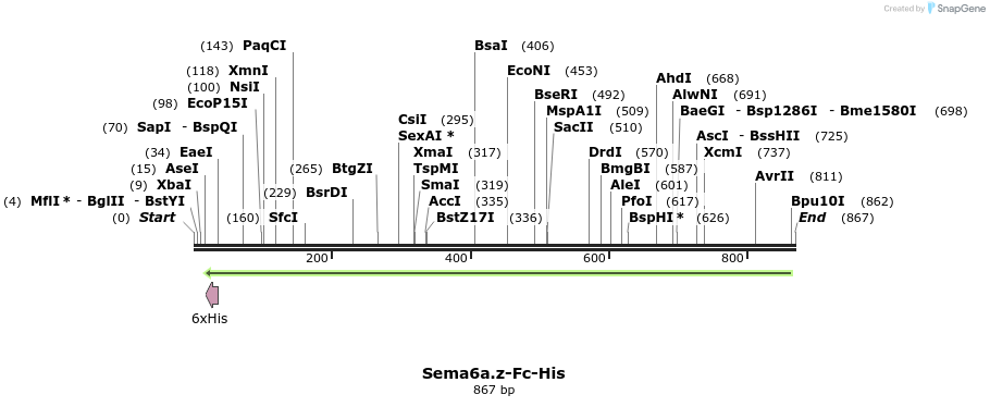 138964_map
