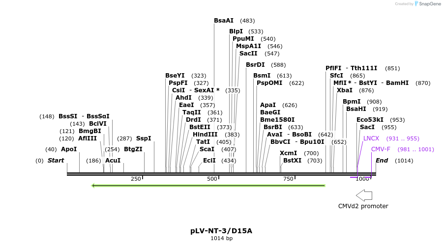 138967_map